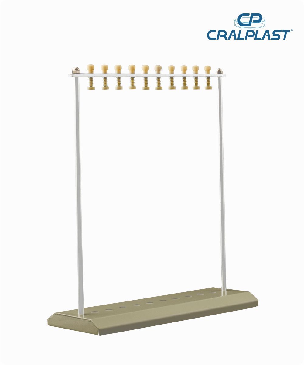 Suporte Westergreen para 10 provas